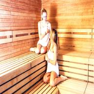 sauna finlandese varese usato