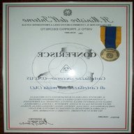 medaglia protezione civile usato