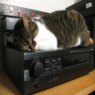 stereo cat usato