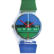 swatch maxi verde usato