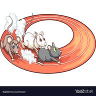racing rats usato