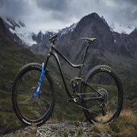 mountain bike carbonio piemonte usato