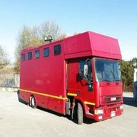 camion trasporto cavalli usato