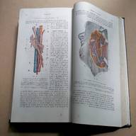 anatomia testut usato