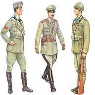 uniformi regio usato