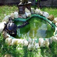 tartarughe vasca usato
