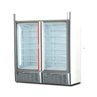 congelatore verticale vetrina usato