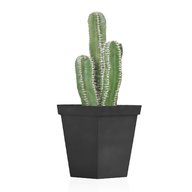 cactus artificiali usato
