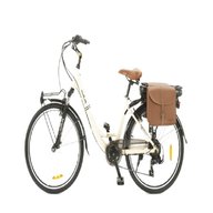 bici elettrica veneto usato