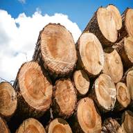 legname usato