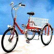carrello bici torino usato